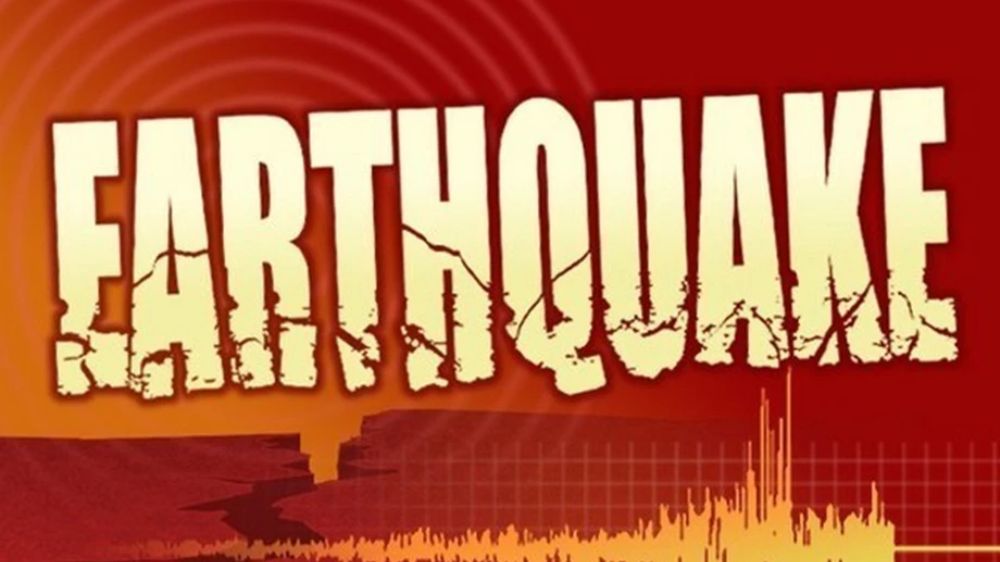 4.6 magnitude earthquake hits Nicobar Island