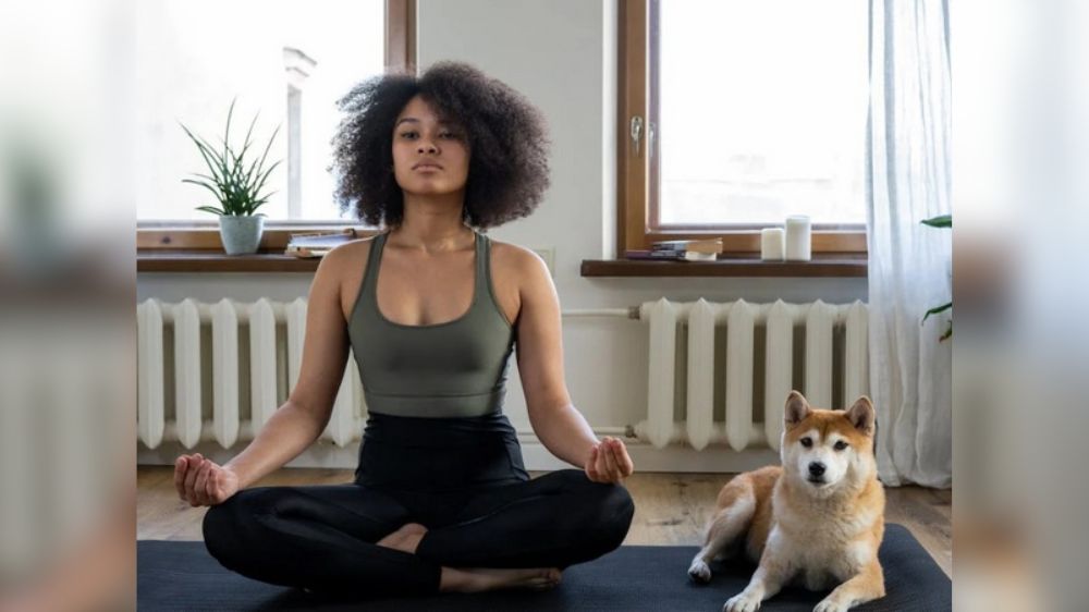 Young dog owners tend to cope better when their pup misbehaves: Study