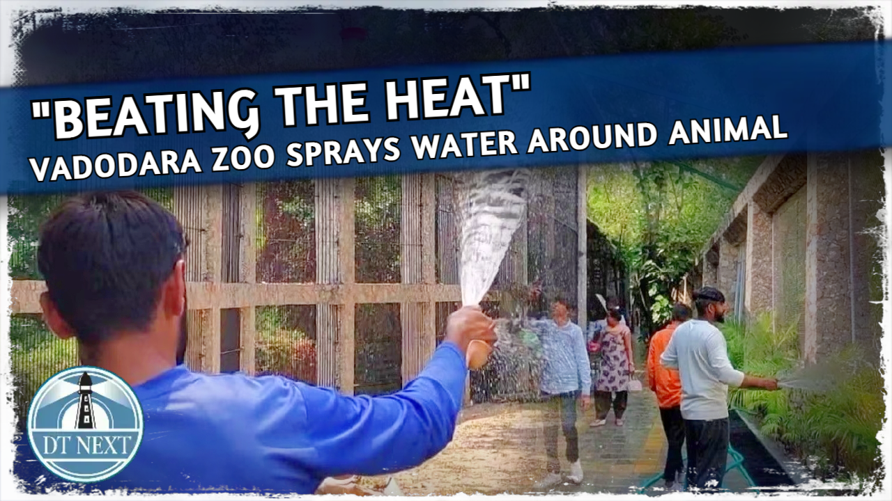 Beating the Heat : Vadodara zoo sprays water around animals