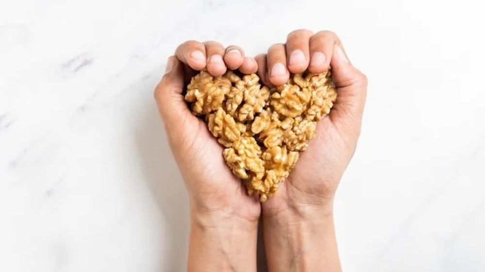 Eating handful of walnuts daily may boost attention among adolescents Eating handful of walnuts daily may boost attention among adolescents
