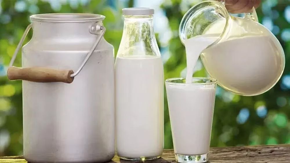 India needs export competitiveness to capture overseas market for milk