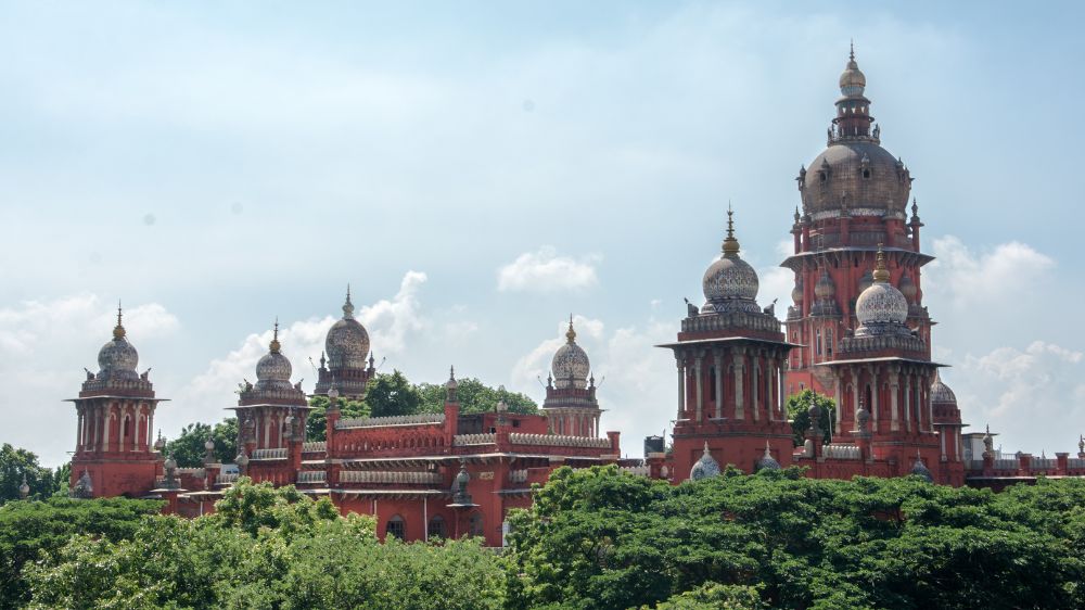 Take action without compassion, says Madras High Court