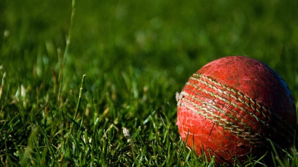 Raufs four-wicket haul helps Pakistan ease past New Zealand