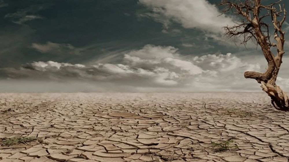 Severe drought spreads in Portugal, officials seek EU help Severe drought spreads in Portugal, officials seek EU help