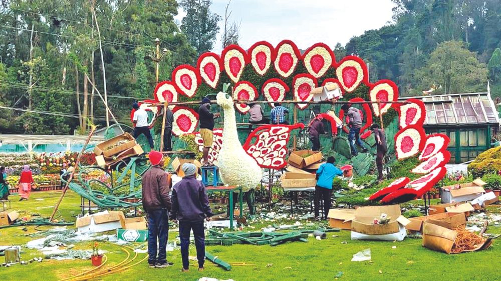 Nilgiris flower show from today Nilgiris flower show from today