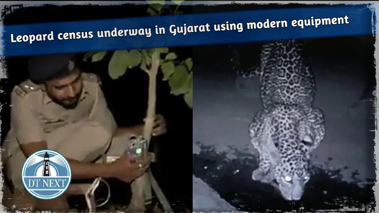 Leopard census underway in Gujarat’s Dang using modern equipment Leopard census underway in Gujarat’s Dang using modern equipment