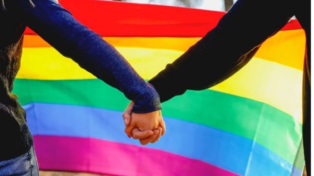 Same-sex marriage: ‘Arguments premised on Parl law a dangerous proposition