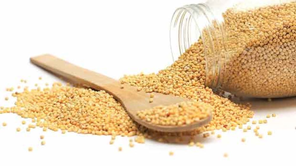 Millet distribution in PDS shops in 2 dists from today Millet distribution in PDS shops in 2 dists from today