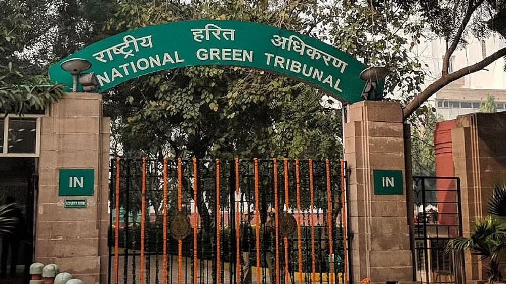 NGT orders to save 100-year-old trees in Coimbatore NGT orders to save 100-year-old trees in Coimbatore