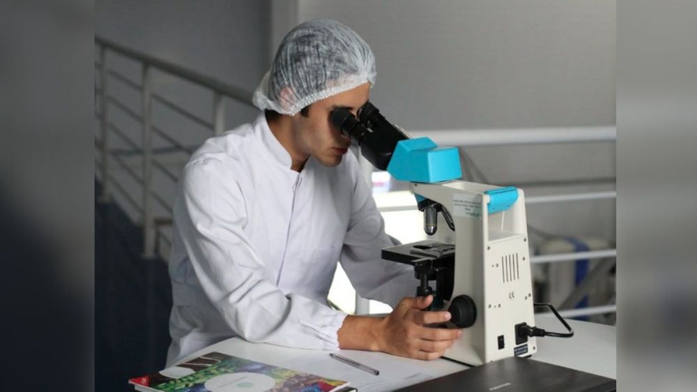 Gut health may affect probability of acquiring Alzheimers in brain