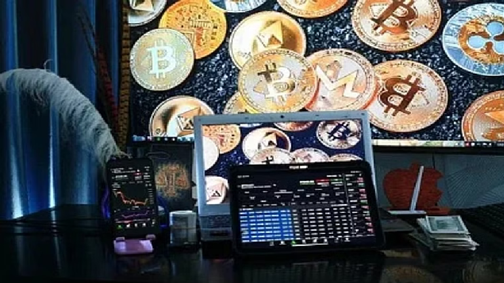 Bankrupt crypto firm’s NFTs fetch nearly $2.5 mn at auction