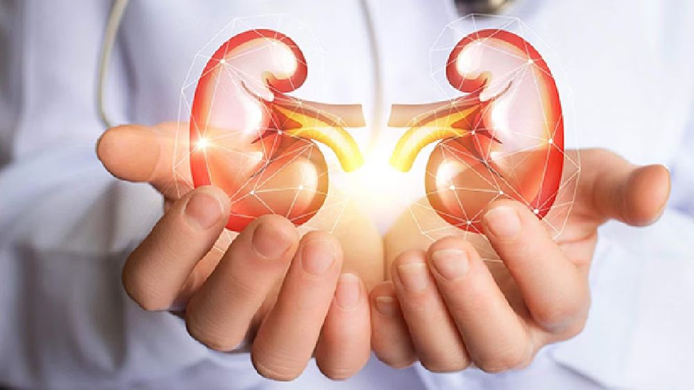 Unhealthy diet rich in salt, sugar driving kidney diseases among kids: Doctors