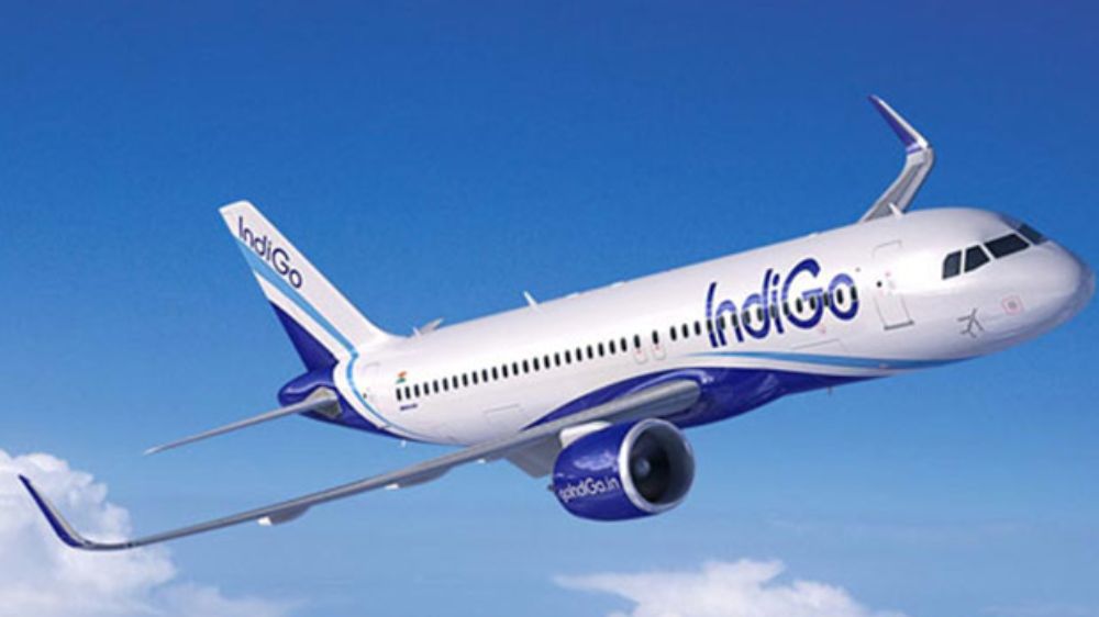 IndiGo back in black on robust market demand