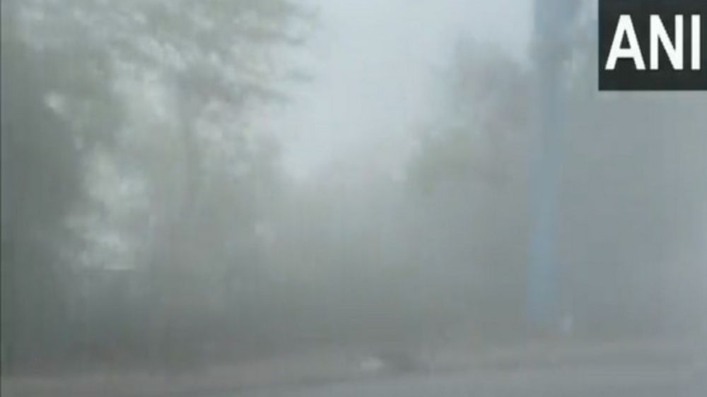 Thick fog envelops parts of Delhi-NCR after spells of rain
