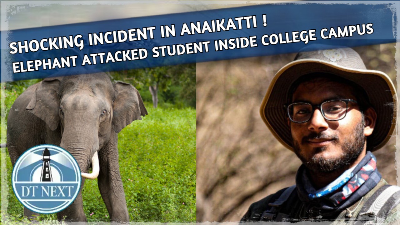 North Indian student died due to elephant attack North Indian student died due to elephant attack