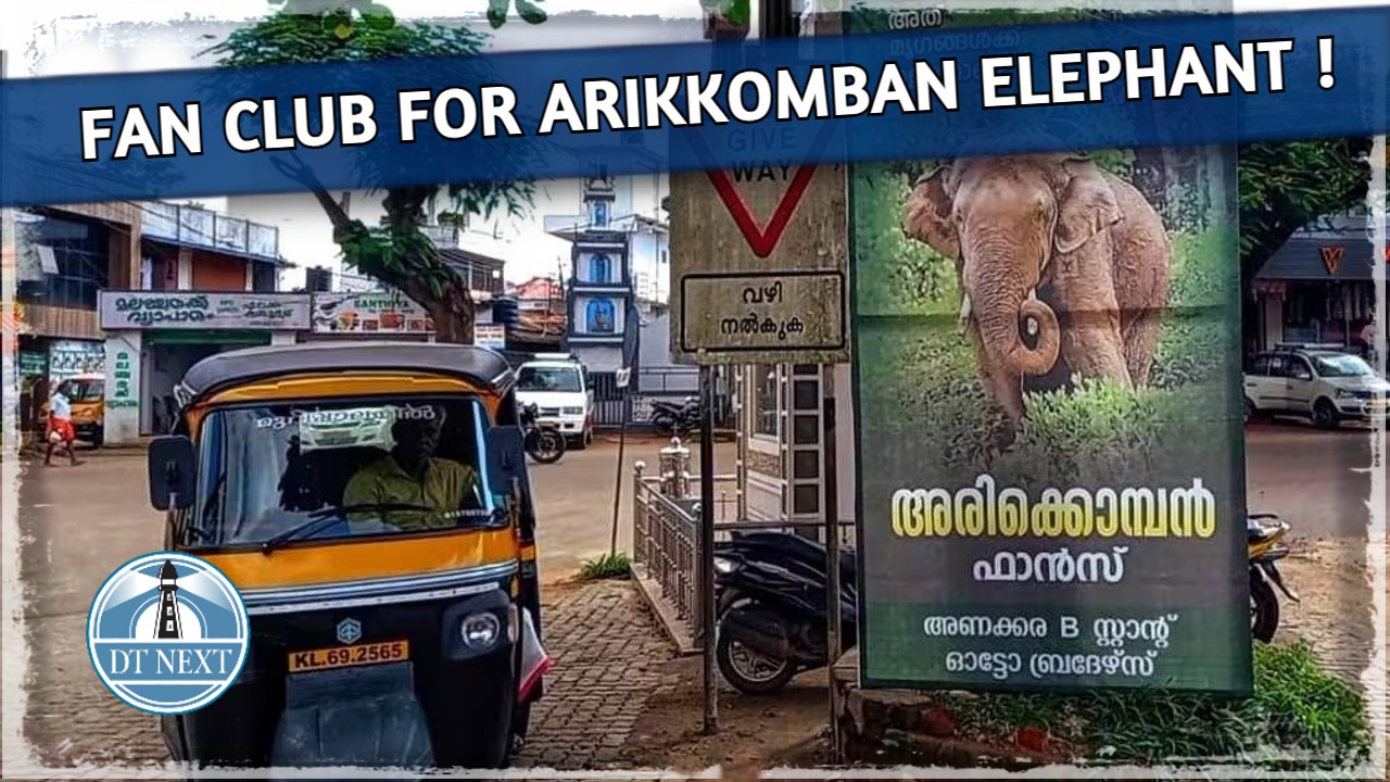 Fan club for Arikkomban elephant