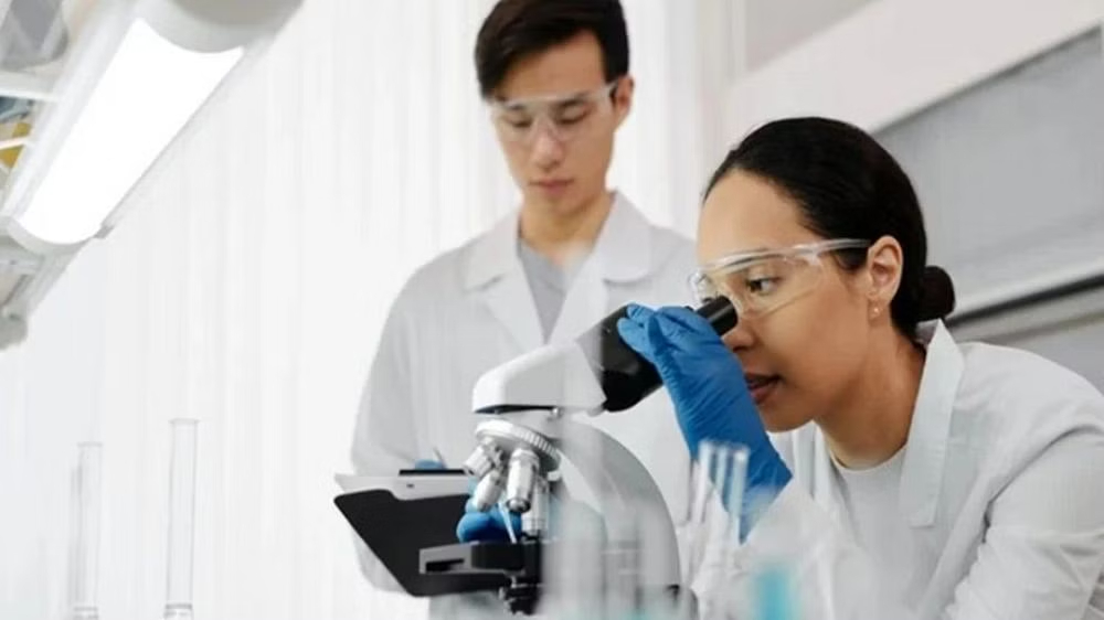 New study shows how dengue virus evolved in India