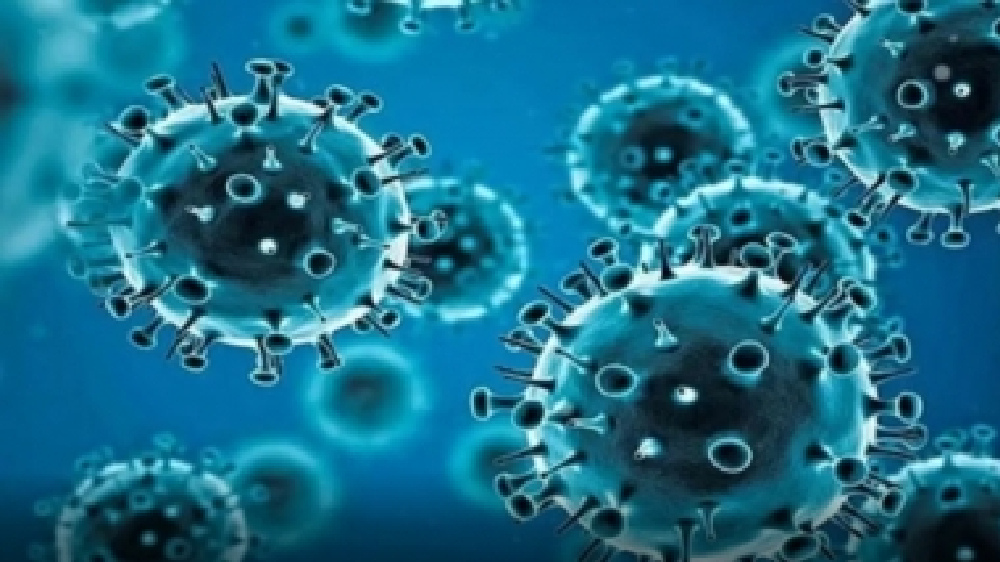 Bacterial pneumonia caused Covid deaths, not cytokine storm: Study