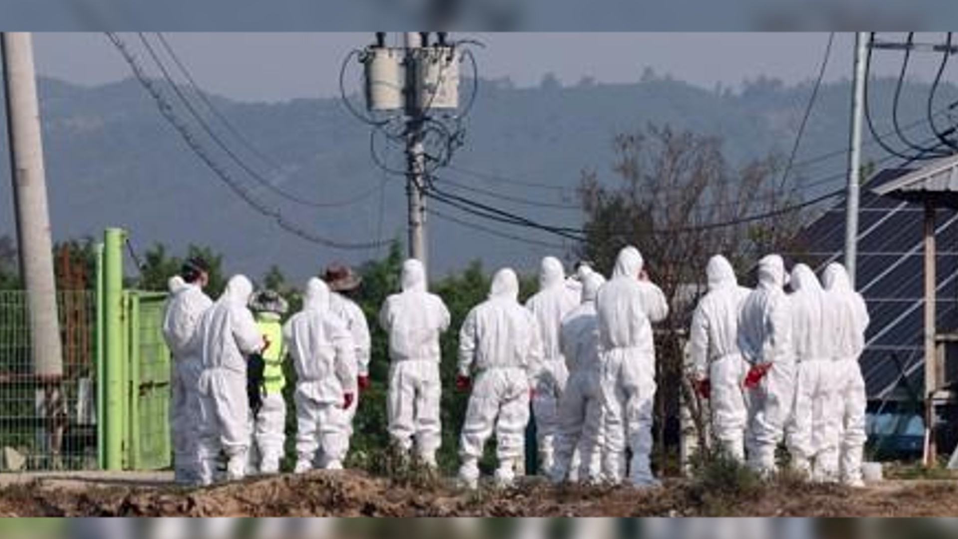 S.Korea issues highest-level warning against foot-and-mouth disease