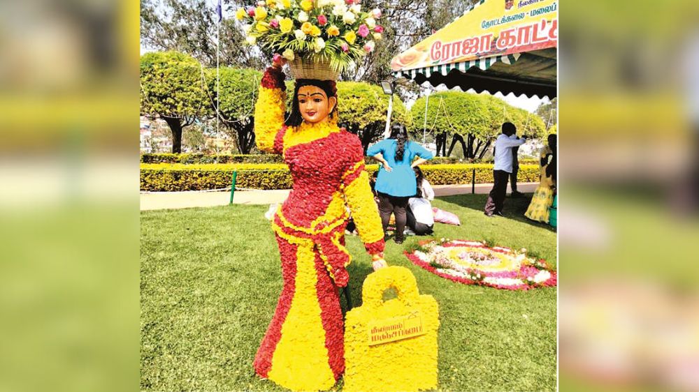 3-day ‘Rose Show’ kicks off in Ooty