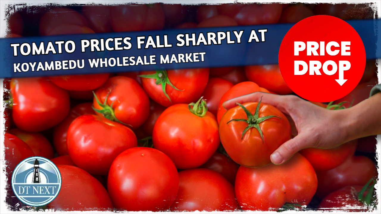 Tomato prices fall sharply at Koyambedu wholesale market Tomato prices fall sharply at Koyambedu wholesale market