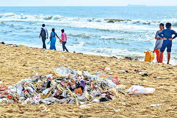 Faecal contamination high in Marina, unsafe for plunge: Study