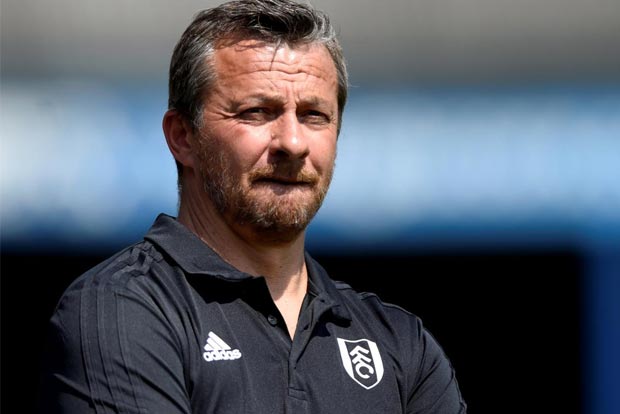 Fulham will draw on experience against Spurs, says Jokanovic