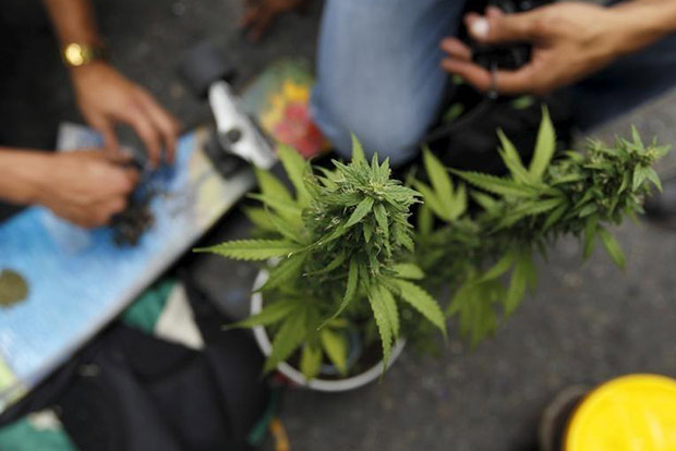 Cannabis extract may offer treatment for psychosis