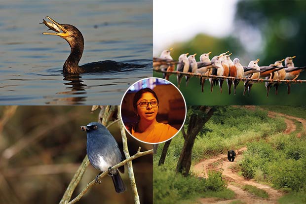 Teaching a thing or two about nature through photographs