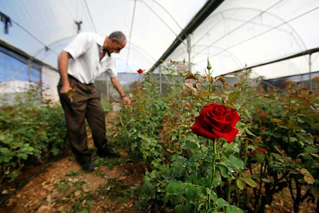 IBM sharpens rural focus, spots a  Rs 5,000 crore opportunity in agritech