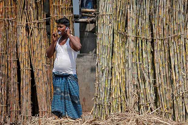 China sugar sector a sweet spot, India may export 1.5 MT