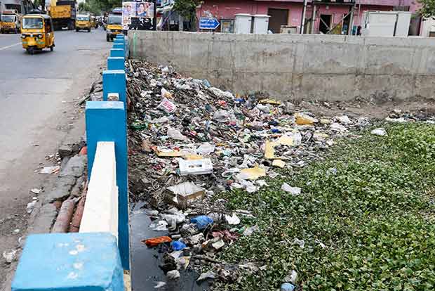 Citizen Connect: Water hyacinth profusion at Captain Cotton Canal causes mosquito menace