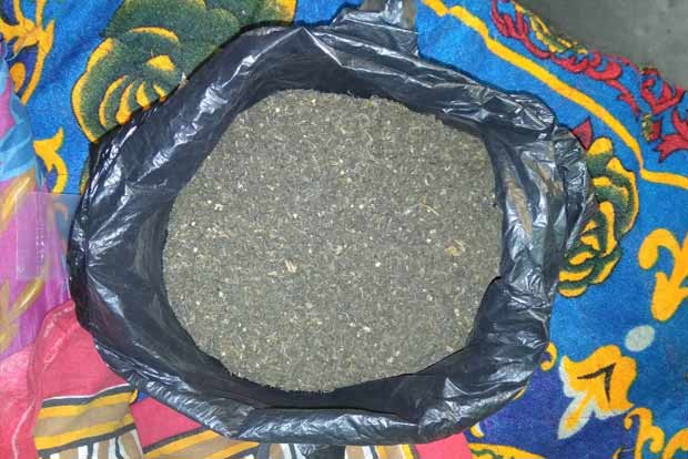 Couple among three held with 52 kg ganja
