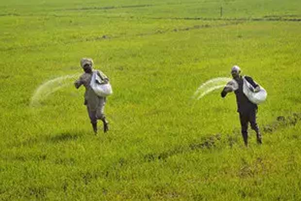 Cuddalore: Shops forcibly sell agri inputs for a urea bag, alleges farmer