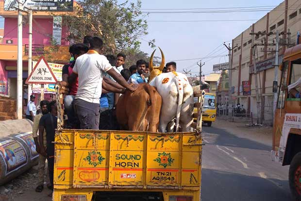 Passenger trips on goods vehicles to invite tough action