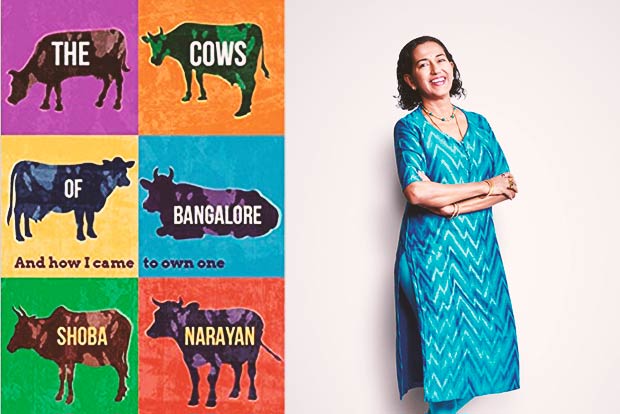 A journey through the bovine world