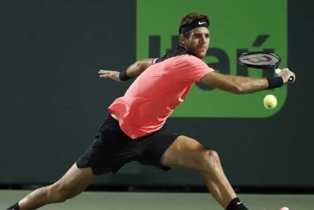 Miami Open: Del Potro grinds down Raonic in quarter-finals