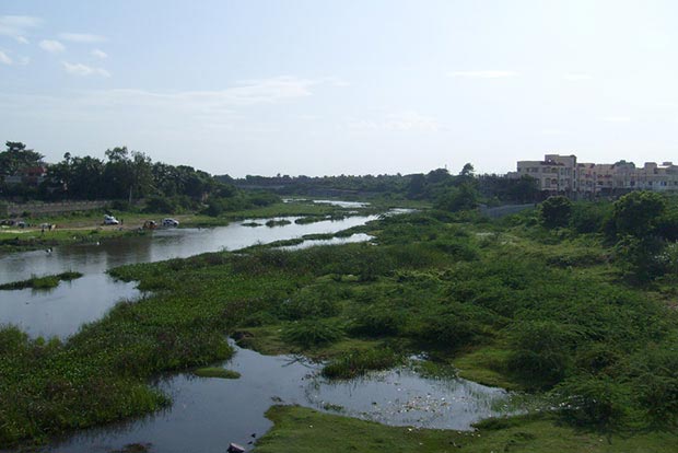 Drive to evict encroachers from Adyar bank foiled