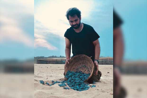 ‘Olive Ridley nesting season better this year’