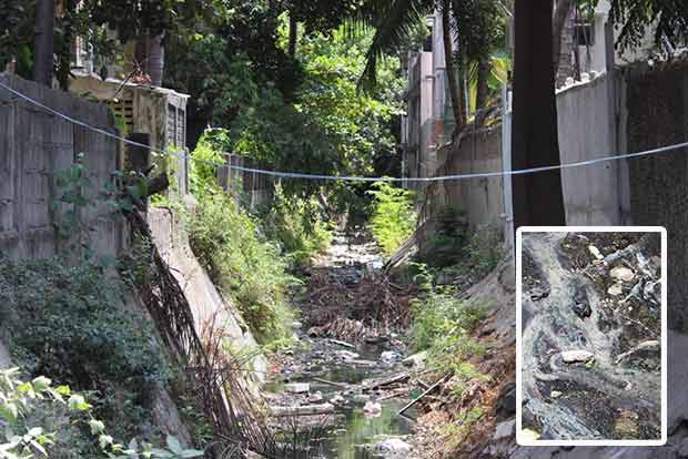 Citizen Connect: Plastic waste, residents’ apathy choke canal in Lotus Colony