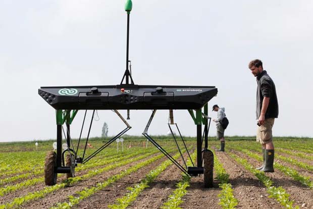 Robots fight weeds in challenge to agrochemical giants