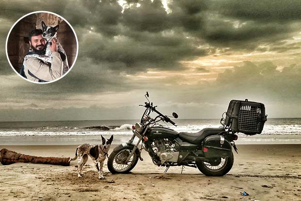 Pawsome Pets: Indi dog stars in her own version of Kaala trailer