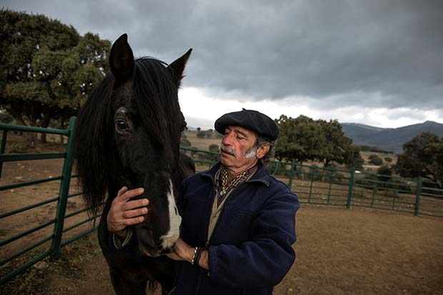 Horsing around: This shrink gallops to office, helps de-stress the anxious