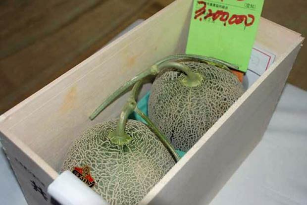 Pair of premium melons sell for record 3.2 million Yen at Japan auction Pair of premium melons sell for record 3.2 million Yen at Japan auction