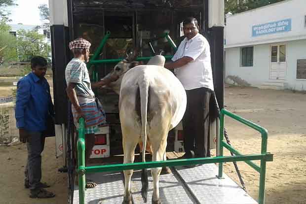 AMMA gets a boost: 22 new vehicles to join ambulance fleet