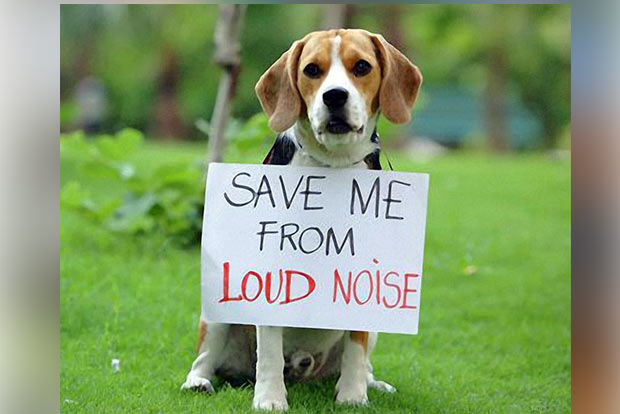 Hurry, save your pets from the ‘cracker monster’ Hurry, save your pets from the ‘cracker monster’