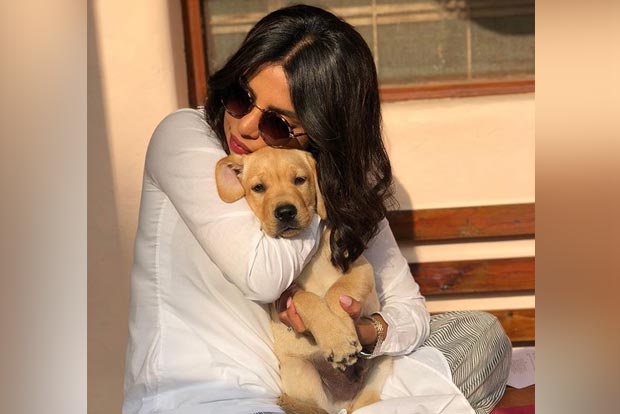 Priyanka Chopra shoots in Delhi for The Sky Is Pink