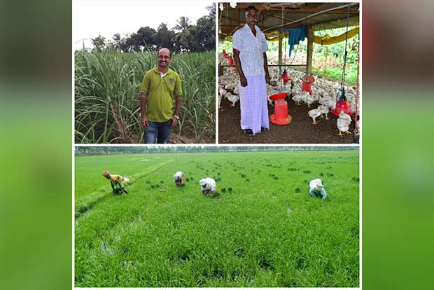 Lending a helping hand to farmers