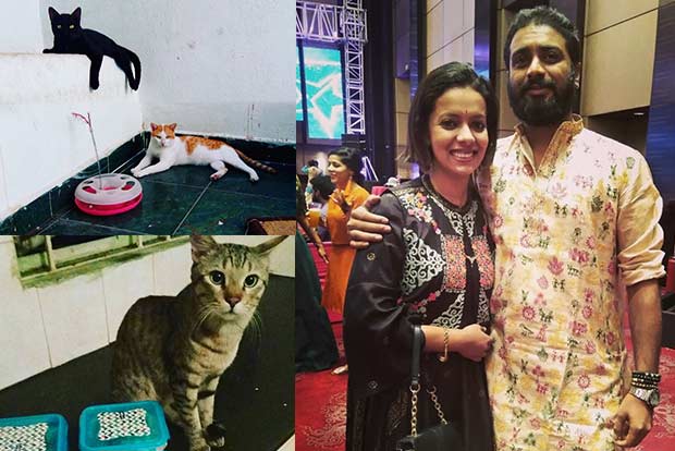 Pawsome pets: ‘Having many cats in the house is challenging’