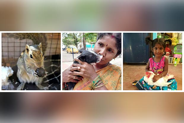 Pawsome Pets: Meet this foster mom with a soft corner for squirrels